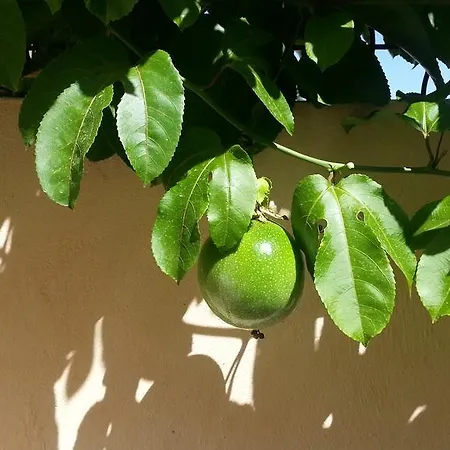 Beautiful House In Club De Mar Palm-mar