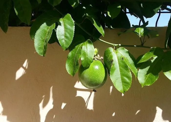 Beautiful House In Club De Mar Palm-mar